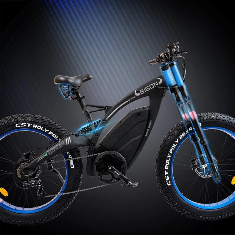 Electric Bike Ecotric Bison Shocks