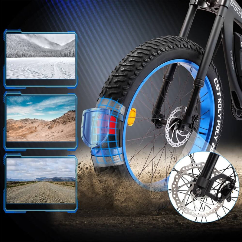 Electric Bike Ecotric Bison Tire