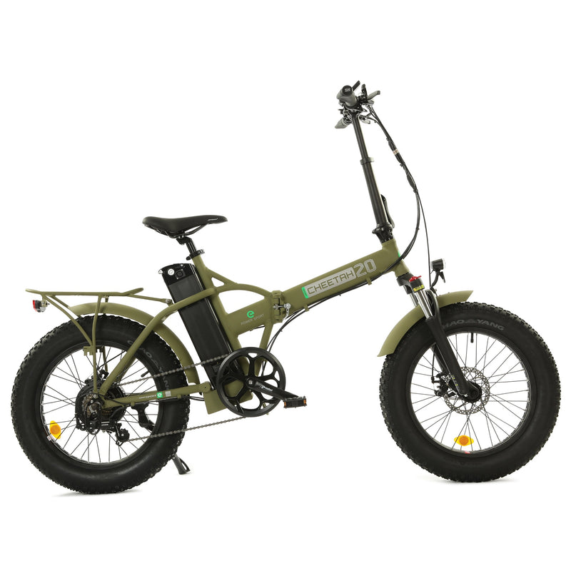 Electric Bike Ecotric Fat20 Green Side