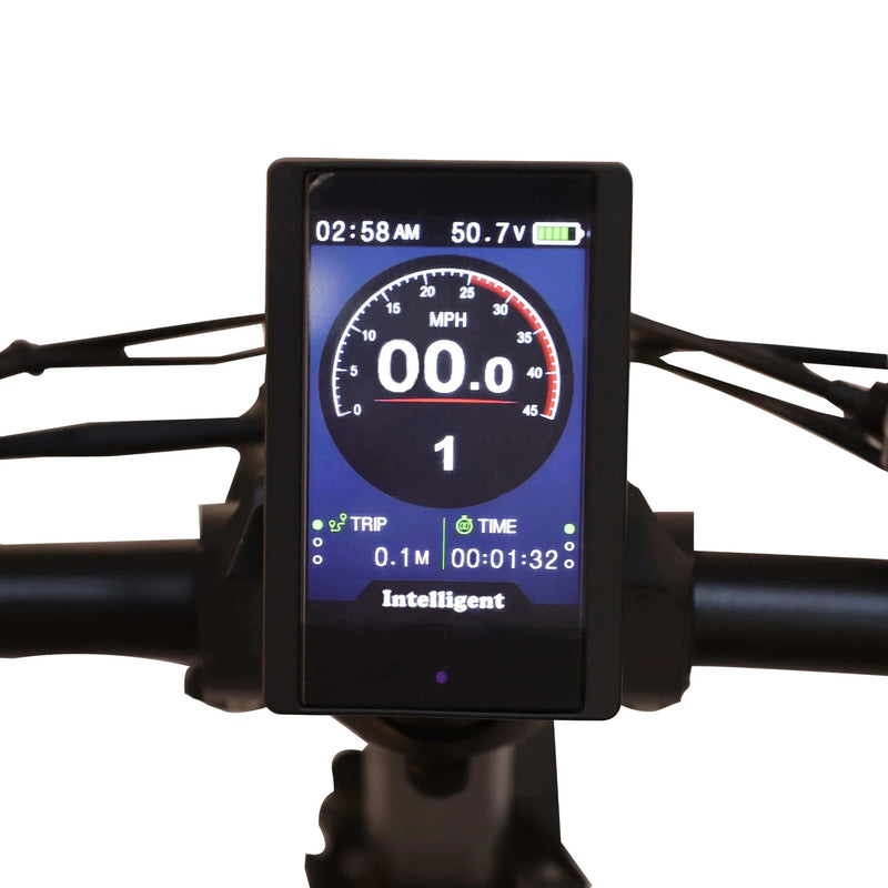 Electric Bike Ecotric Fat20 LCD