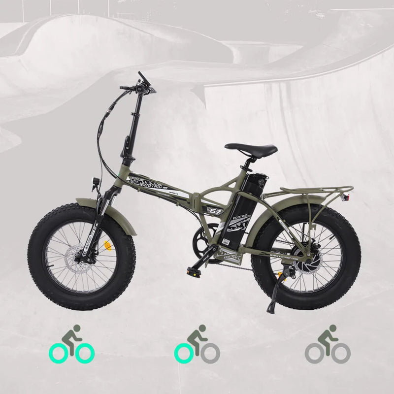 Electric Bike Ecotric Fat20 Modes