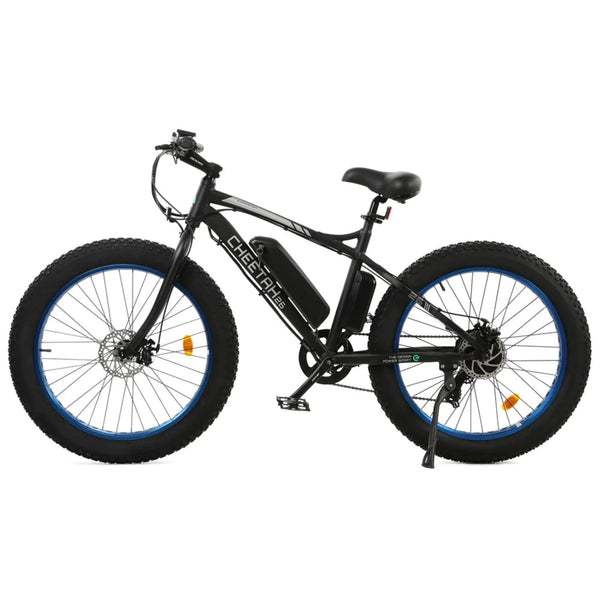 Ecotric fat tire electric bike beach snow bicycle new arrivals