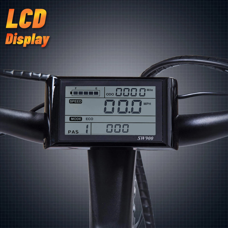 Electric Bike Ecotric Leopard LCD