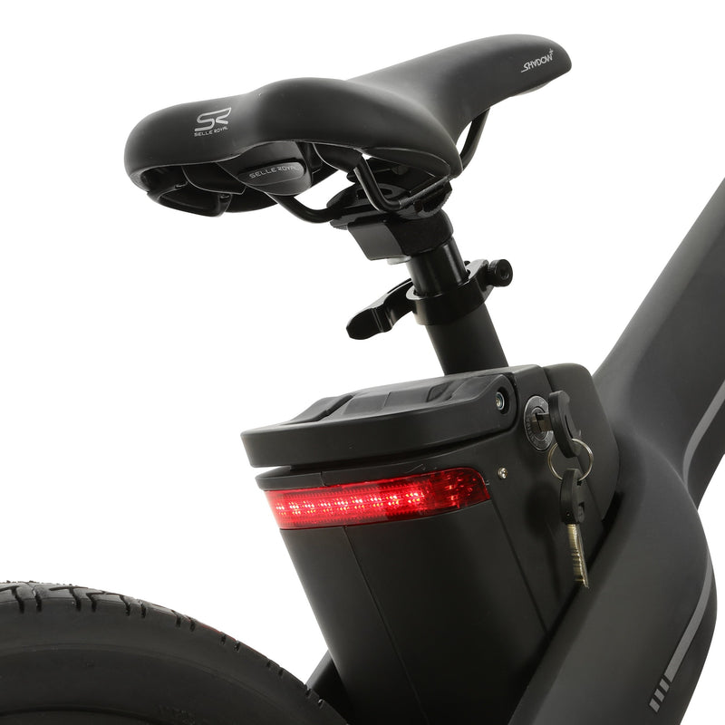 Electric Bike Ecotric Seagull Black Battery