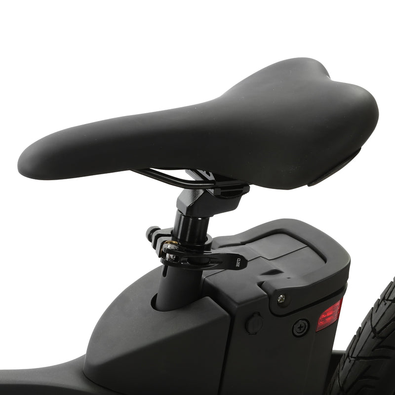 Electric Bike Ecotric Seagull Black Seat