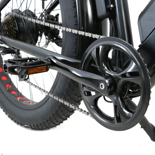 Eunorau 250W+350W Fat AWD Dual Motor Electric Fat tire Bike