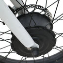 Electric Bike Eunorau Trike Motor