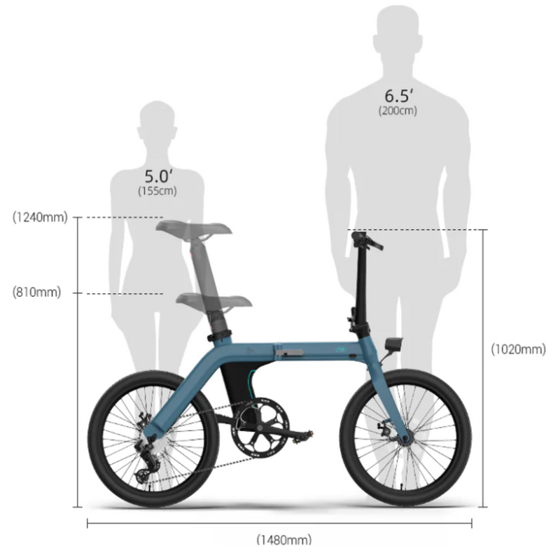 Electric Bike Fiido D11 Size