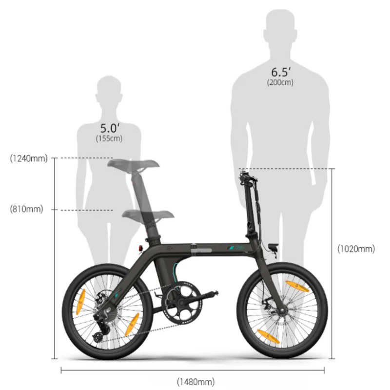 Electric Bike Fiido D21 Sizes