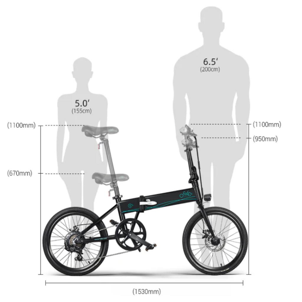 Fiido 250W D4S Folding Electric Bike