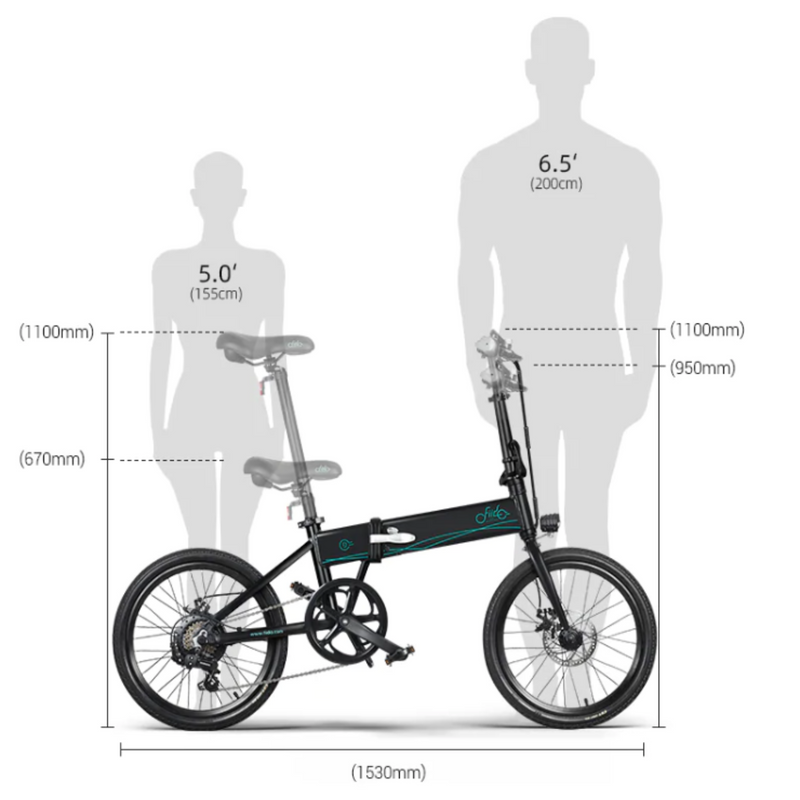 Electric Bike Fiido D4S Sizes