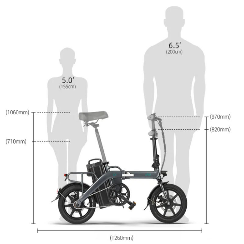 Electric Bike Fiido L3 Sizes