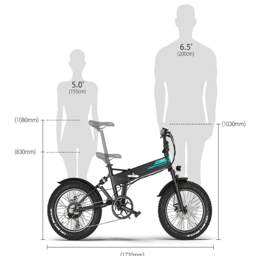 Fiido 500W M1 Pro Fat Tire Electric Bike