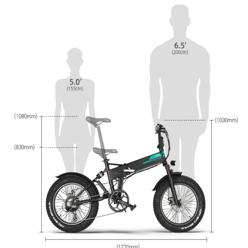 Fiido 500W M1 Pro Fat Tire Electric Bike - Main Image