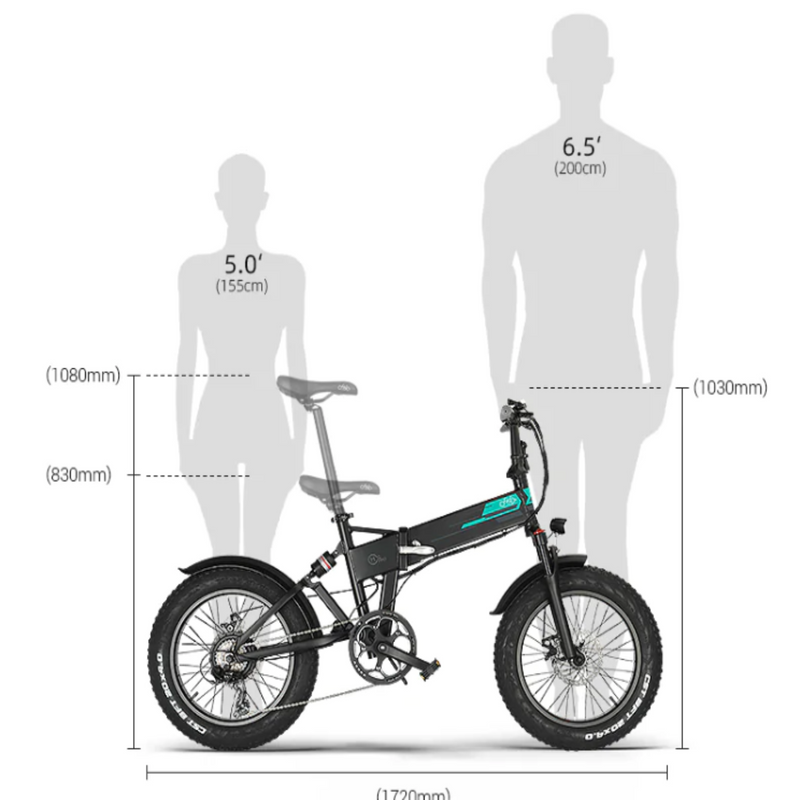 Electric Bike Fiido M1 Pro Size