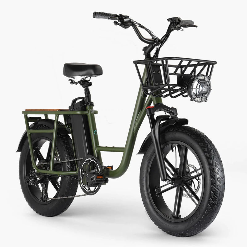 Electric Bike Fiido T1 Right Front