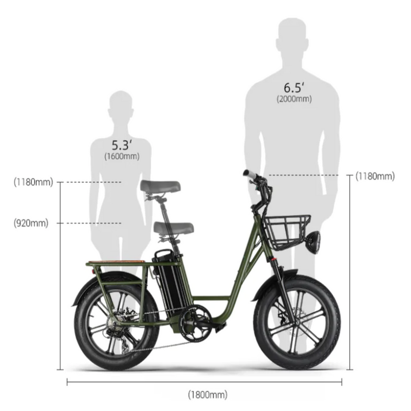 Electric Bike Fiido T1 Size