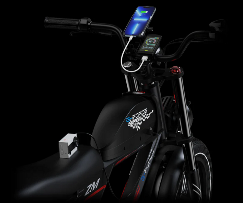 Electric Bike G-Force ZM LCD