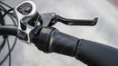 Electric Bike Himiway Cobra Throttle