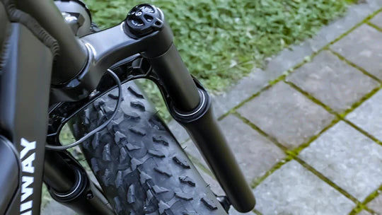 Electric Bike Himiway Cruiser Black Shock