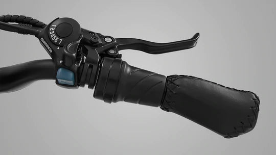Electric Bike Himiway Escape Throttle