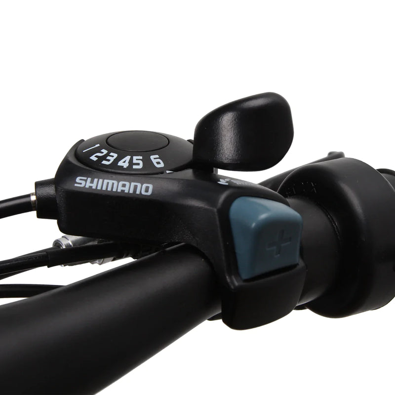 Electric Bike Nakto Ranger Gears