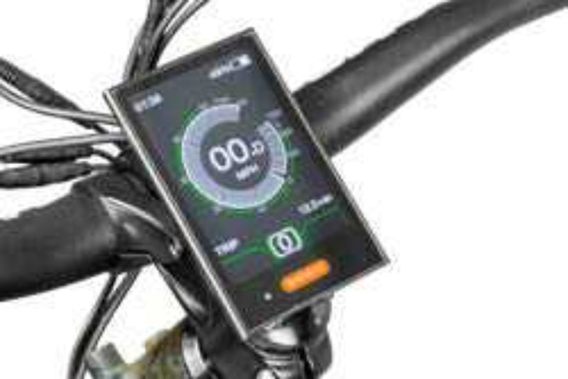 Electric Bike Rambo Prowler LCD