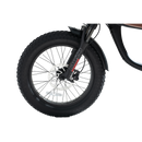 Electric Bike Revi Cheetah Mini Tire