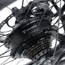 Electric Bike Revi Oasis Motor