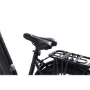 Electric Bike Revi Oasis Seat