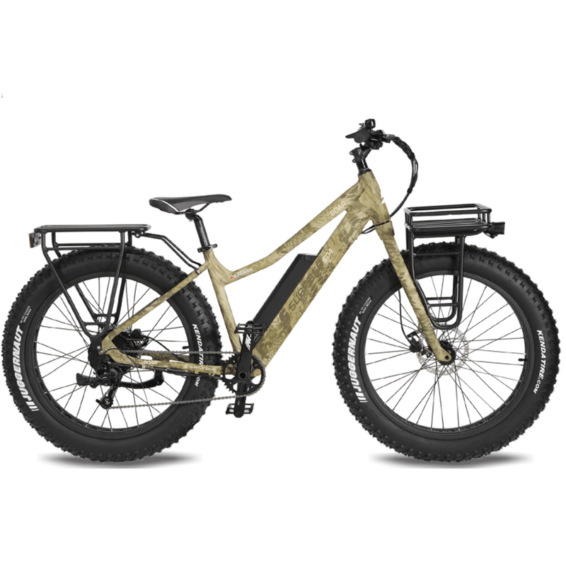 Electric Bike Surface 604 Boar Main