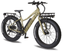 Electric Bike Surface 604 Boar Specs