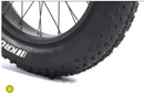 Electric Bike Troxus Explorer Step Thru Tire