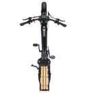 Electric Bike Troxus Lynx Black Top