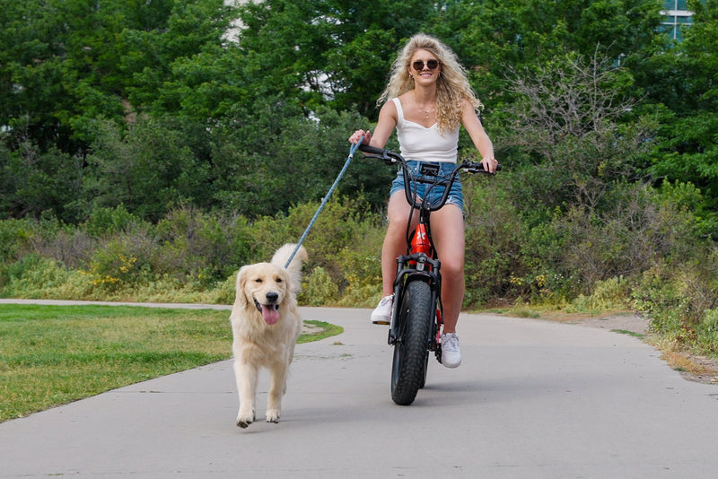 Electric Bike Troxus Lynx Outside