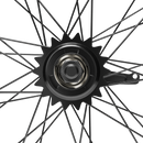 HD Wheels Black Rear Coaster Non-Disc Brake Ready Hub2