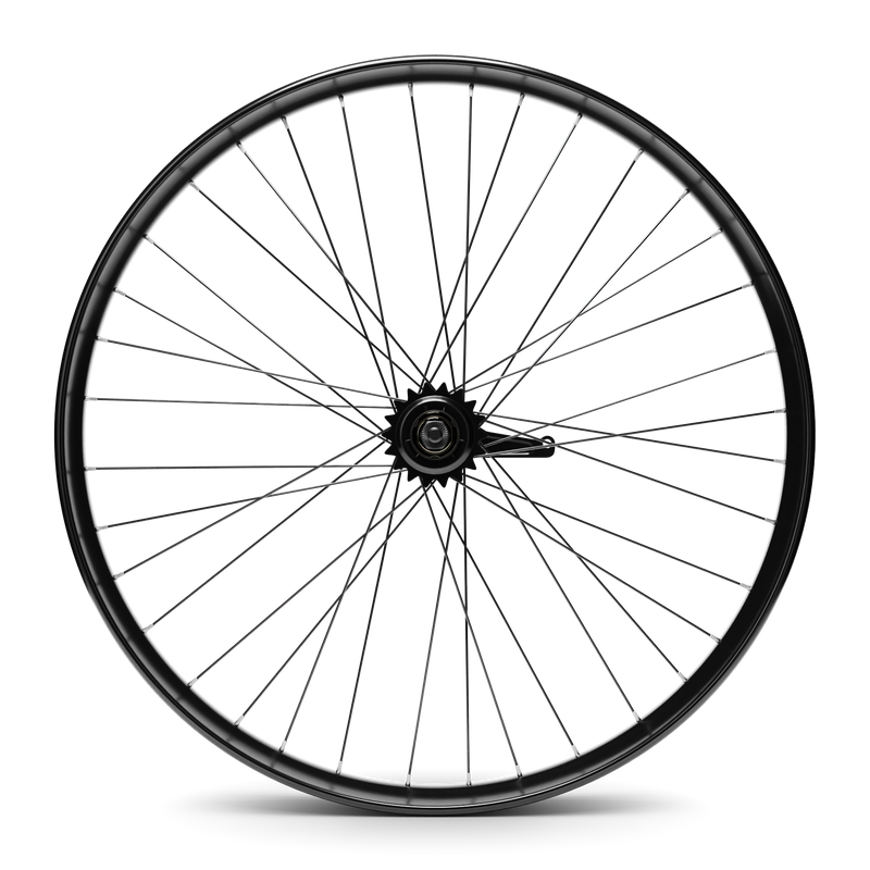 Hd Wheels Black Rear Coaster Side