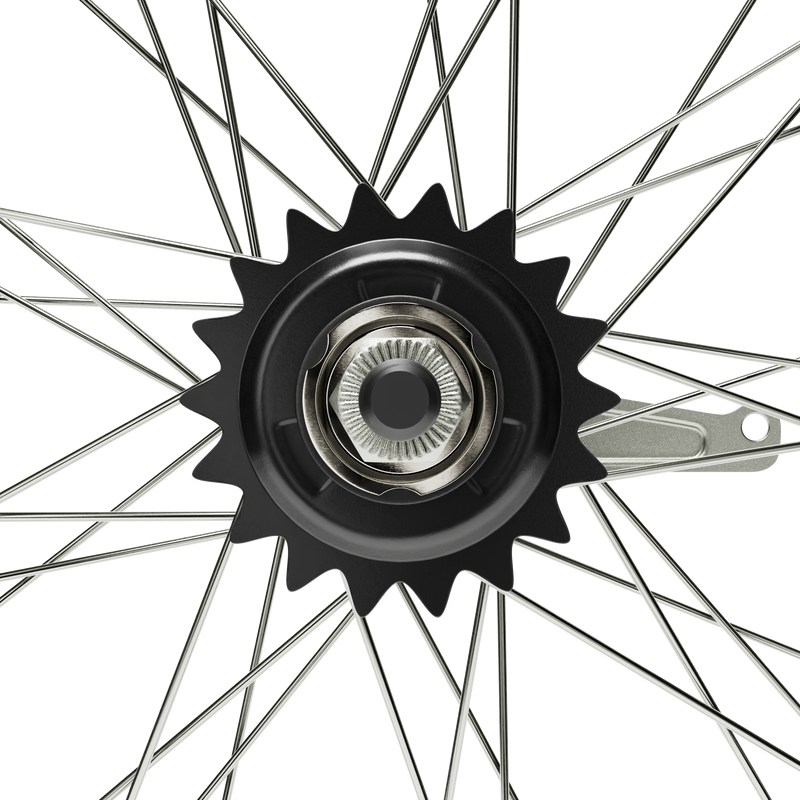 HD Wheels Silver Rear Coaster Hub