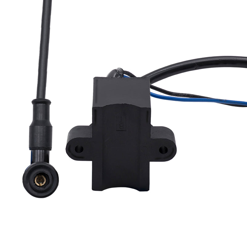 CDI ELECTRON IGNITION COIL - Mount and Cap Close Up