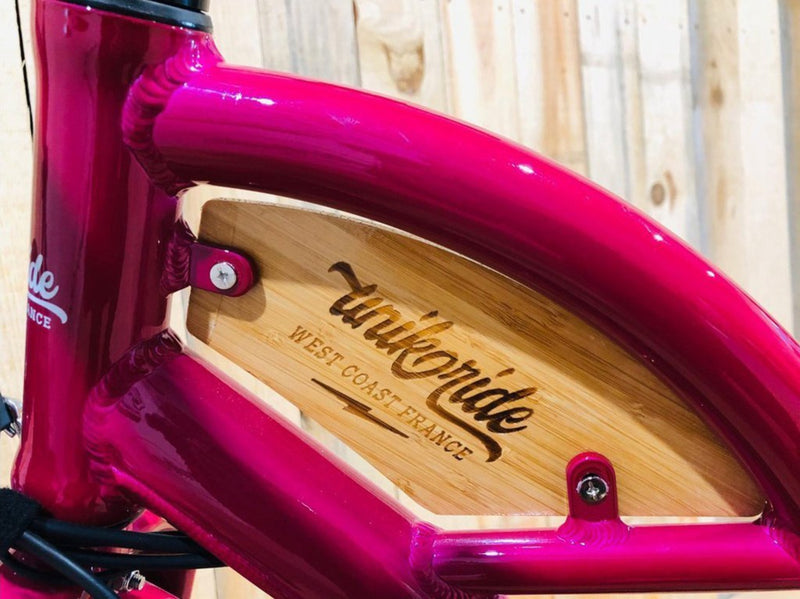 T4B 500W Beach Cruiser Fatbike Fatwave Low Step frame close up