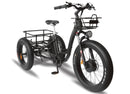 T4B 500W Carriage Trike 3 Wheel Fat Tire tricycle facing forward