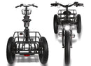 T4B 500W Carriage Trike 3 Wheel Fat Tire front and rear
