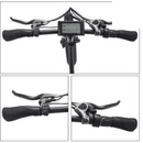 Electric Bike Ecotric Fat 2020