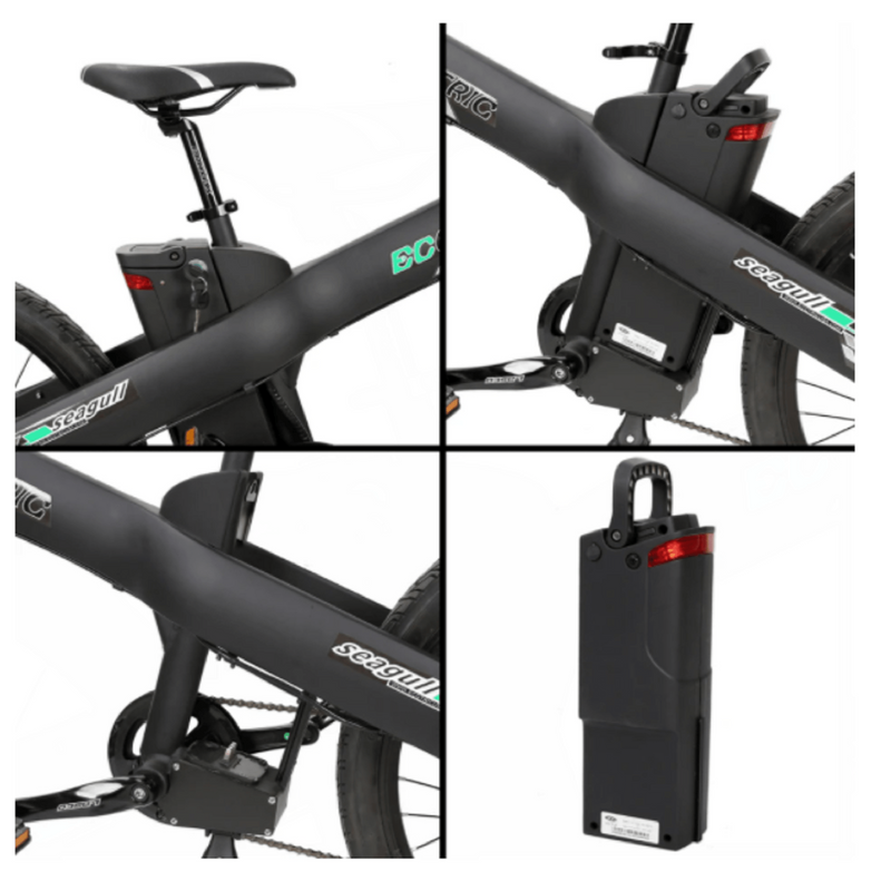 Seagull ecotric sale