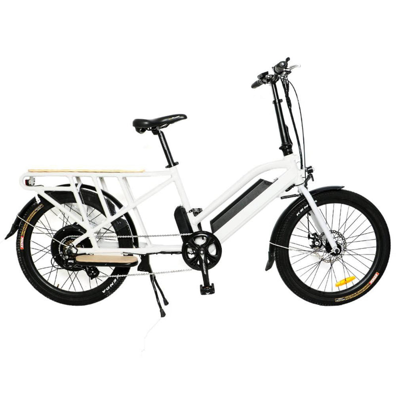 Electric Bike EUNORAU 24" 48V750W Mid Motor Electric Long Trail Cargo Bike eBike Only Profile