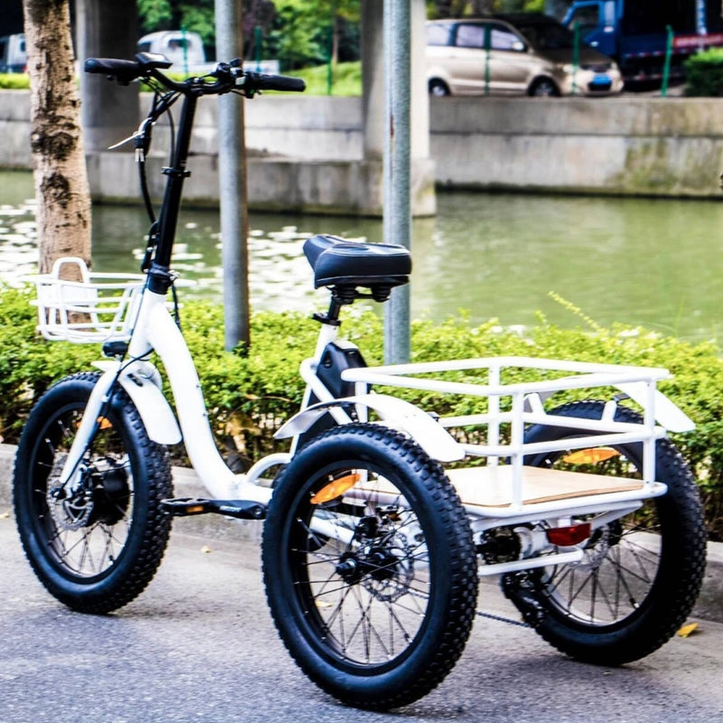 Eunorau 500W Trike 20'' Fat Tire Folding Electric Tricycle - bicycle parked next to river