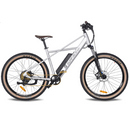 Electric Bike Surface 604 Quad Main