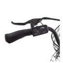 Electric Bike Ecotric Peacedove Gear