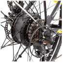 Electric Bike Ecotric Peacedove Hub