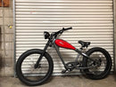 Electric Bike Revi Cheetah Plus Assembly Guide Video